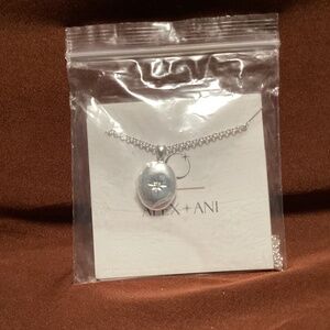 Alex and Ani Starburst Locket Adjustable Necklace NEW